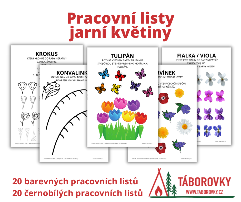 Pracovní listy jarní květiny, každý pracovní list je věnovaný jedné jarní květině a tak se děti díky těmto listům naučí poznávat ne jen základní květiny které najdeme v jarní přírodě